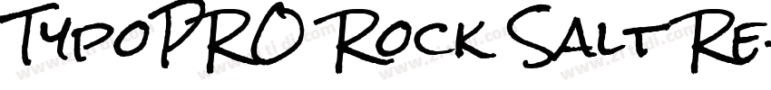 TypoPRO Rock Salt Re字体转换